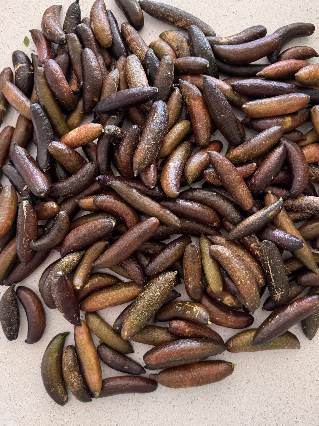 Brown Finger Limes (Ungraded) 500G
