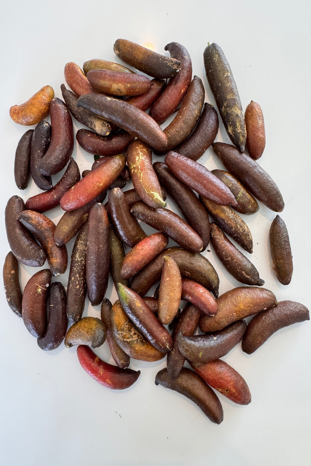 Brown Finger Limes (Ungraded) 500G